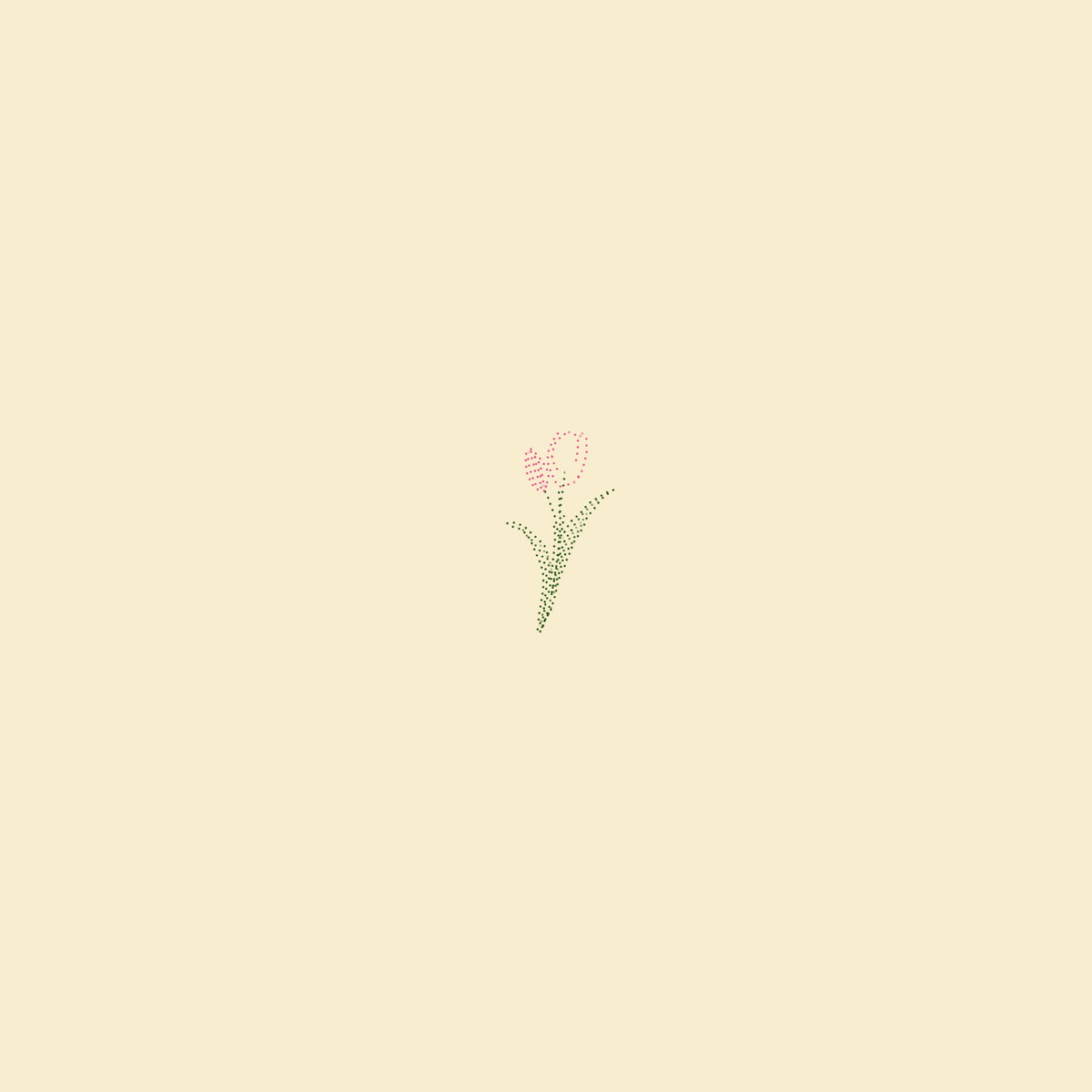 Dotted tulip