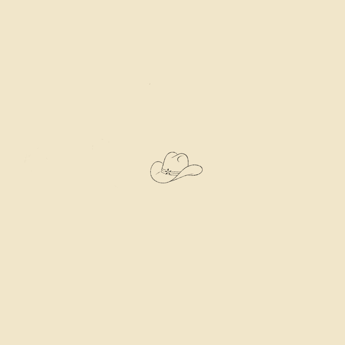 Cowboy hat