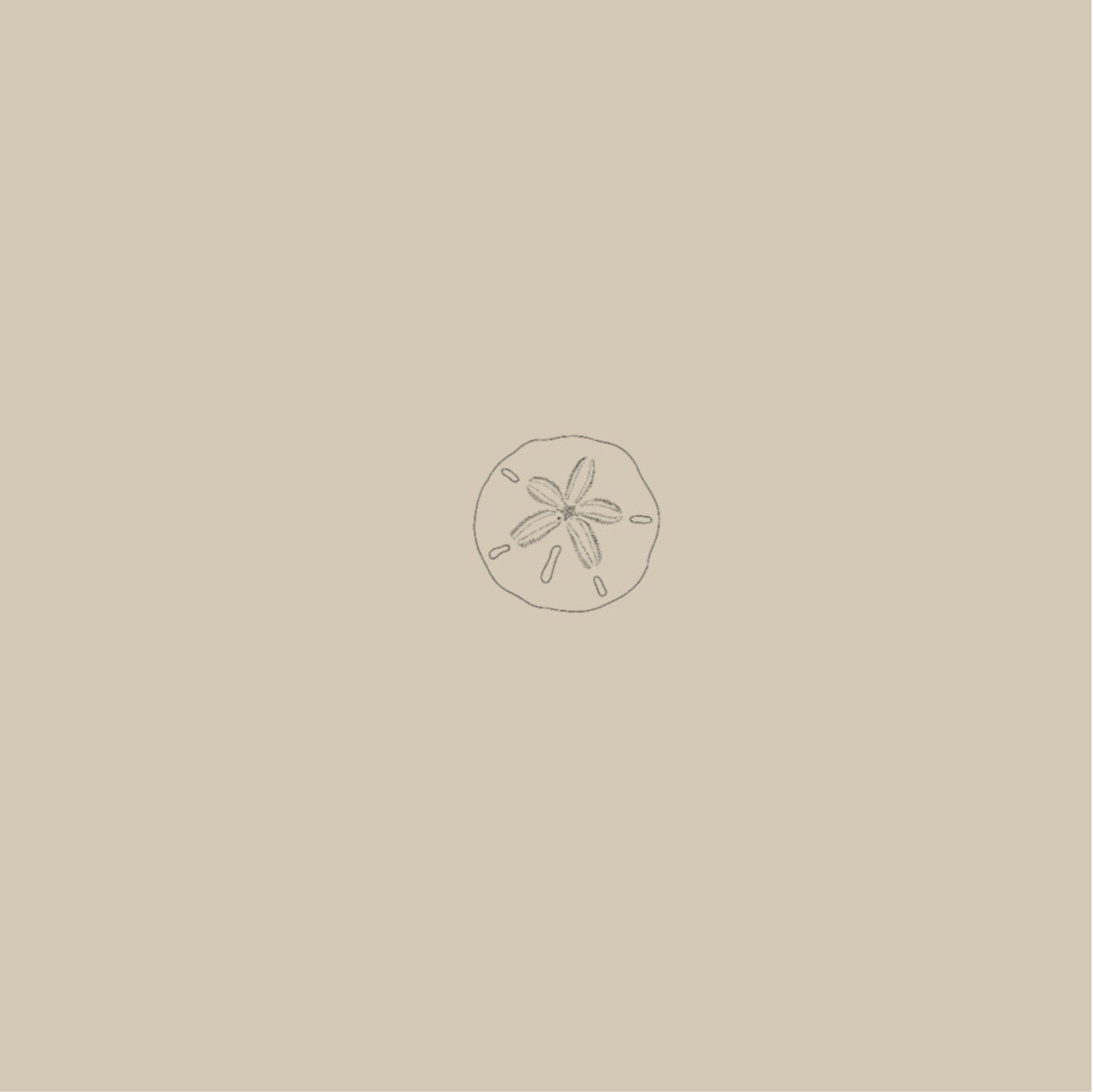 Sand dollar