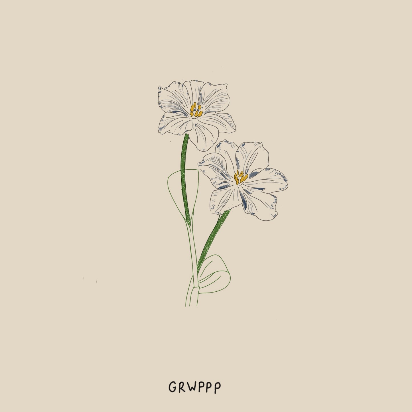 Des fleurs