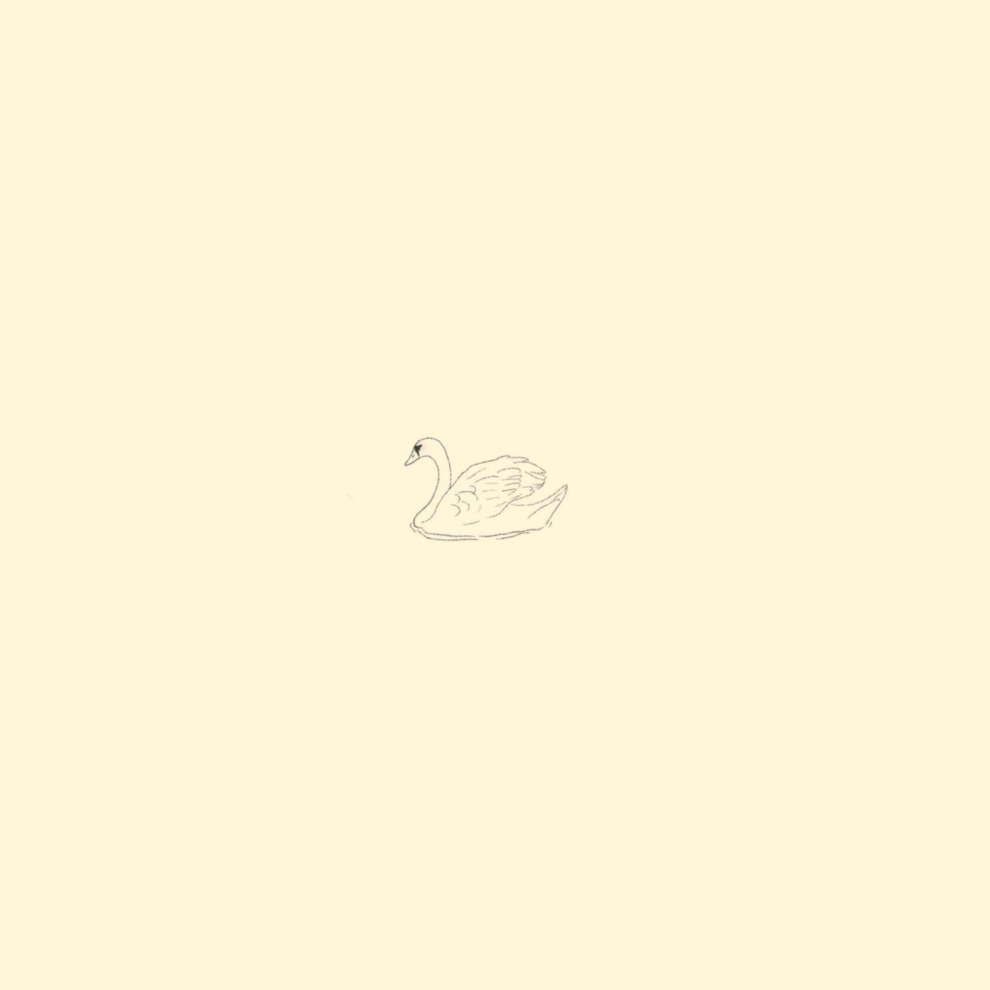 Swan