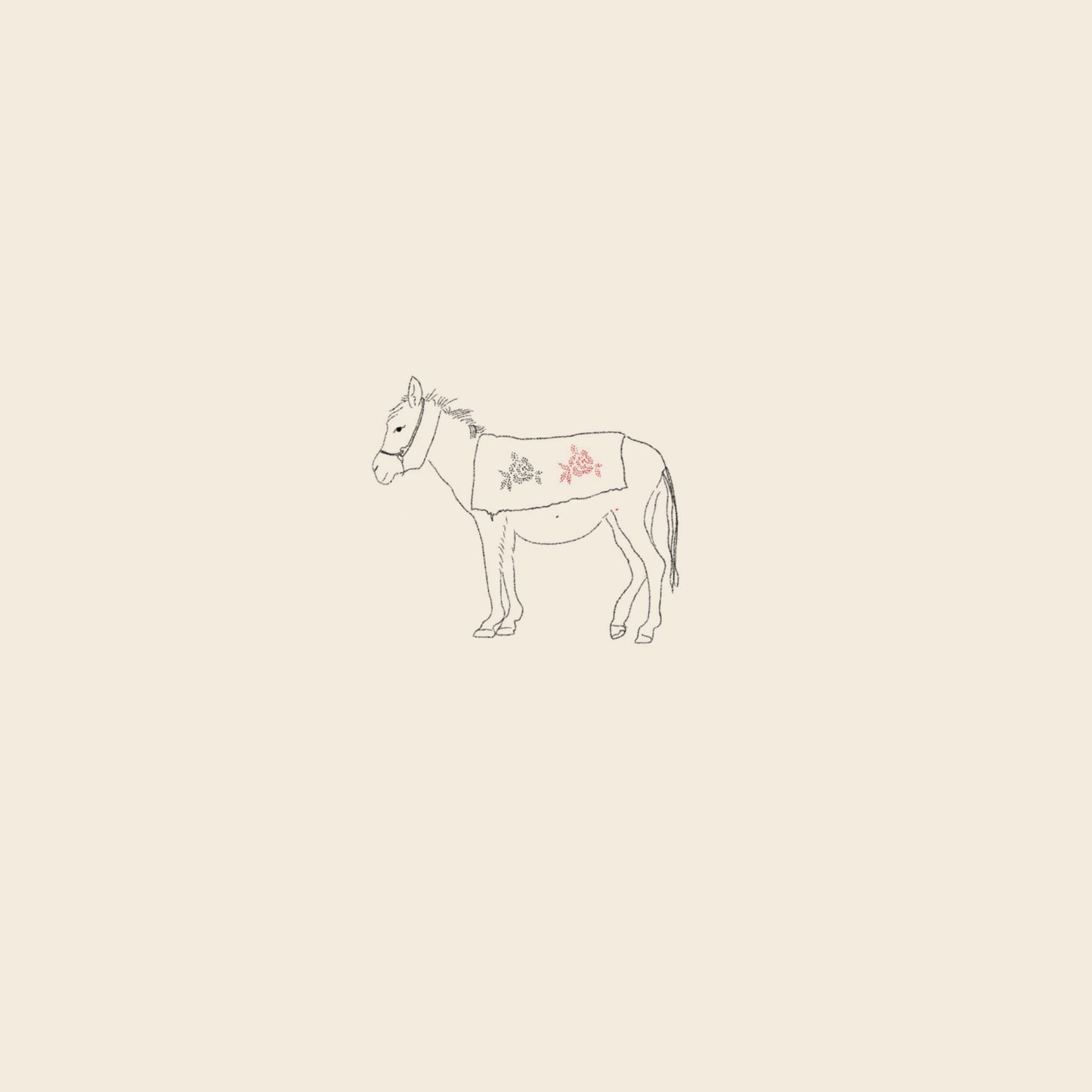 Donkey
