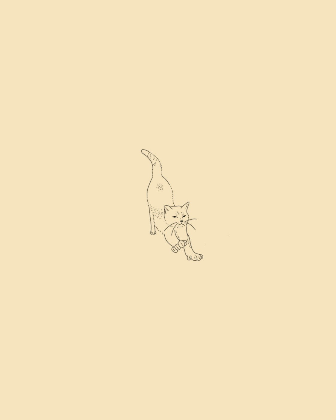 Cat stretching