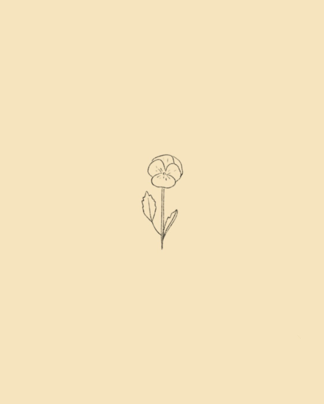 Orchid