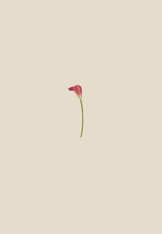 Flor