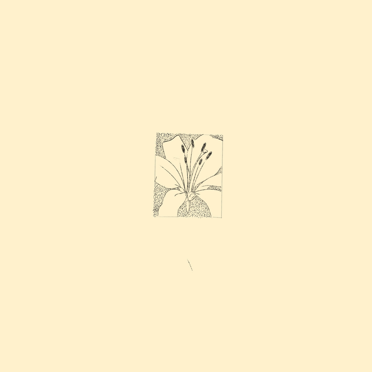 Flower portrait