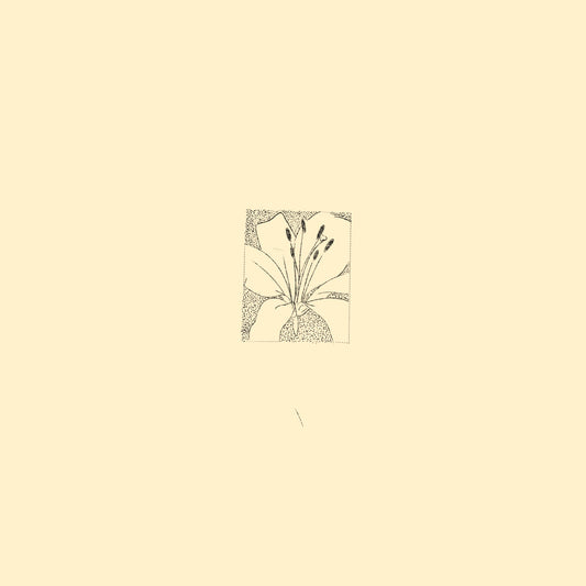 Flower portrait