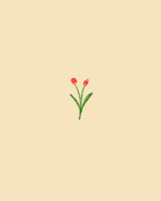 Red tulips