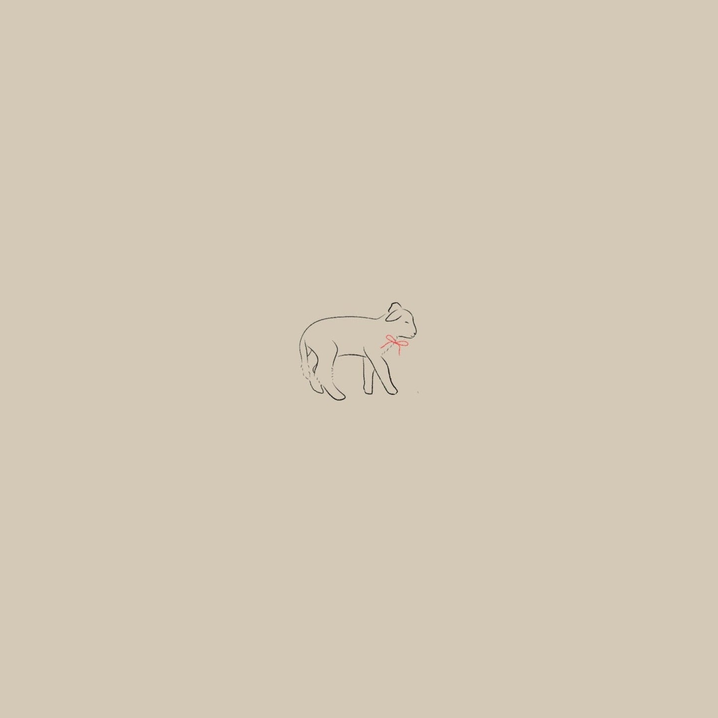 Baby goat