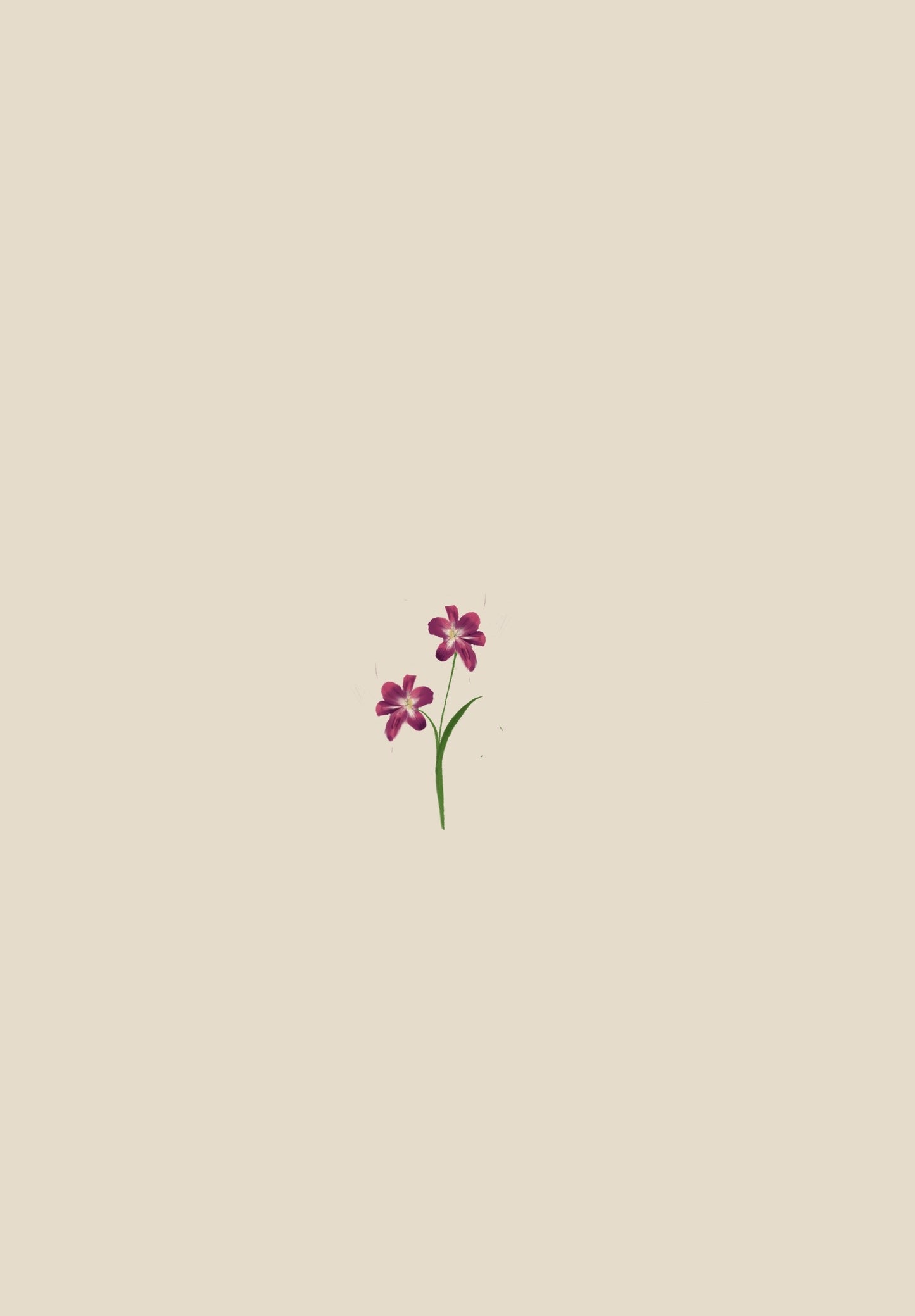 Flores #2