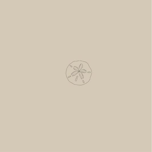 Sand dollar