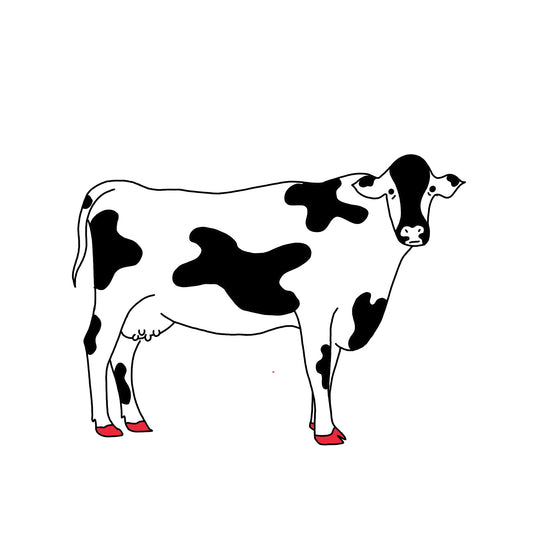 Cow