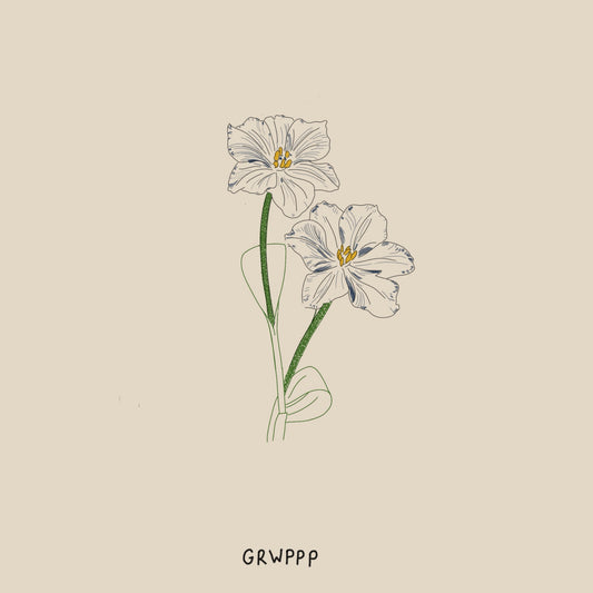 Des fleurs