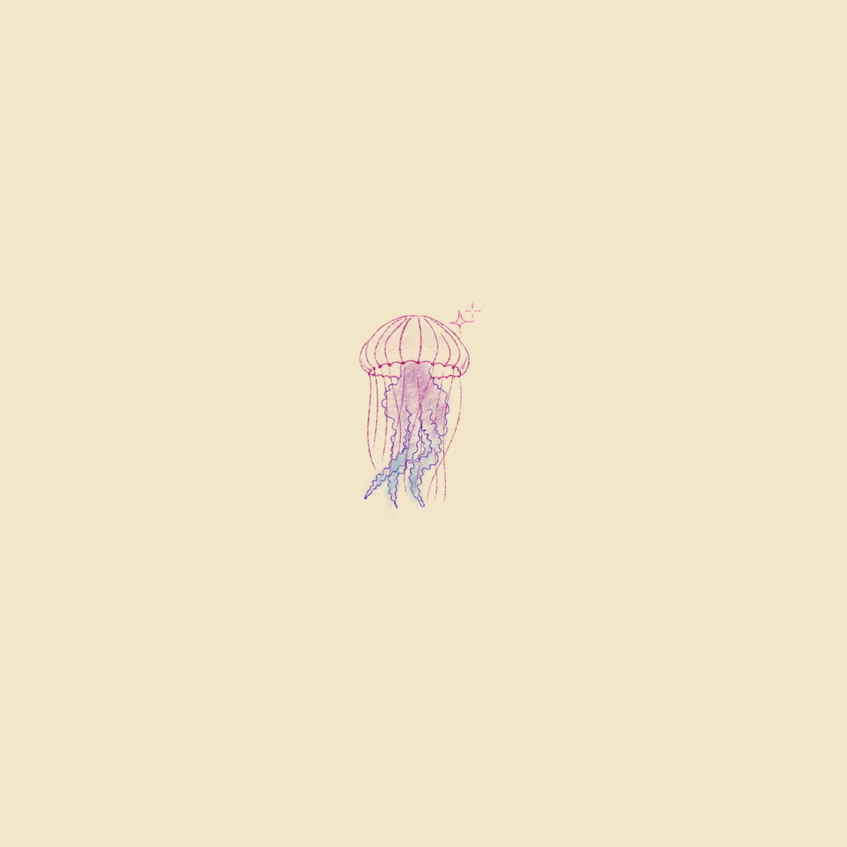 Medusa de mar.