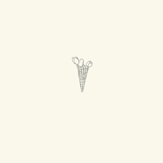 Tulips cone