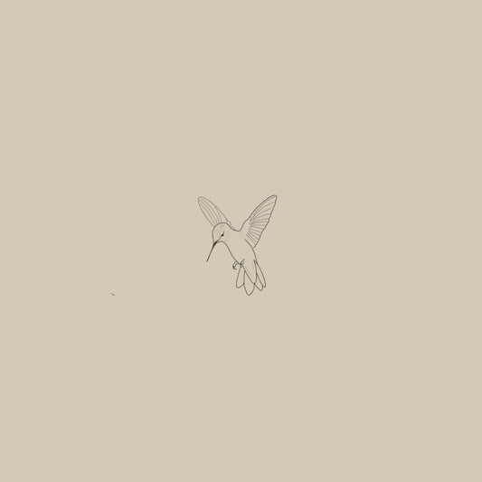 Colibrí