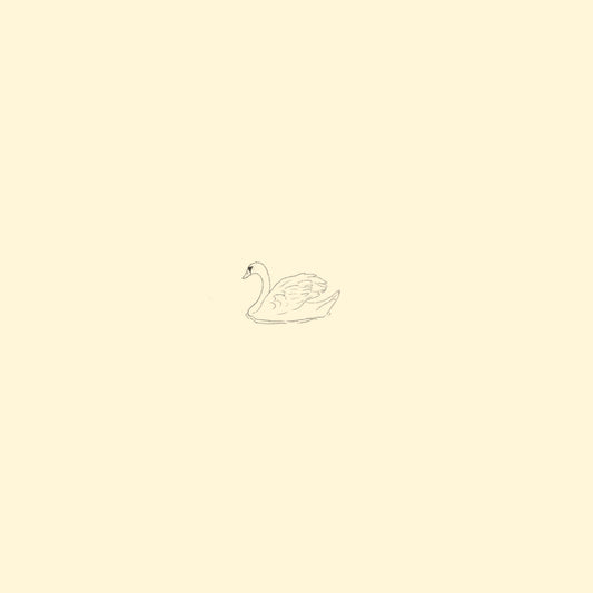 Swan