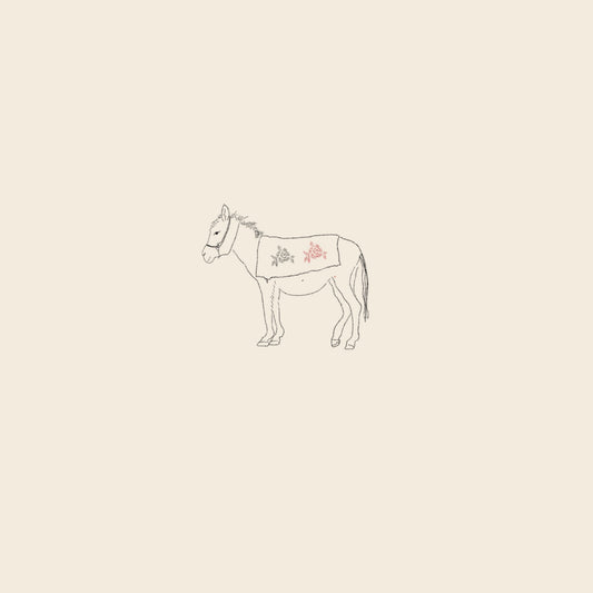 Donkey