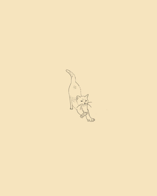 Cat stretching