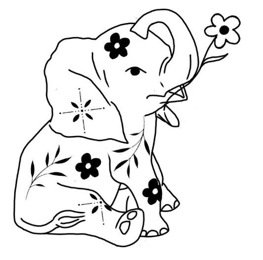 Reschedule/ Touch-up
