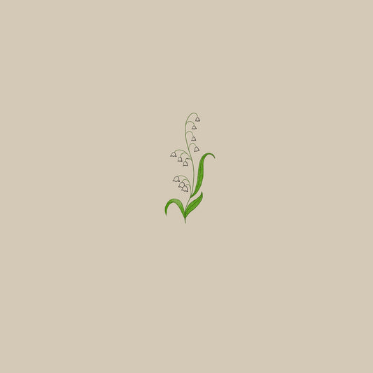 Lily of the Valley