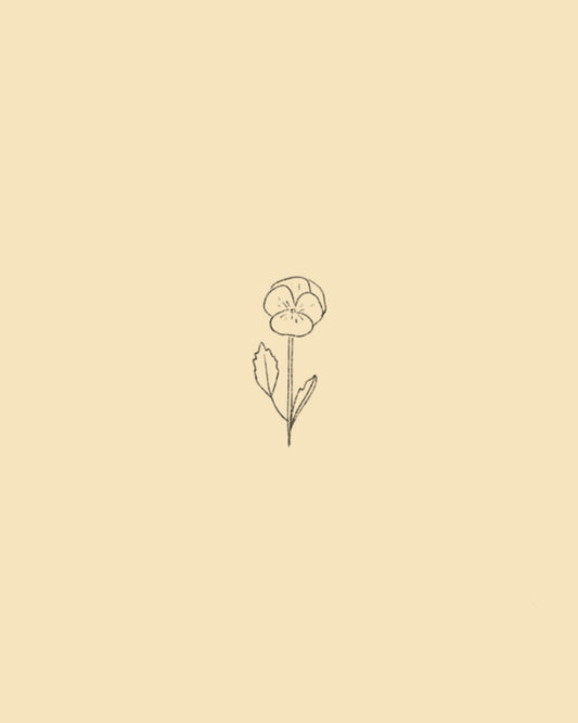 Orchid